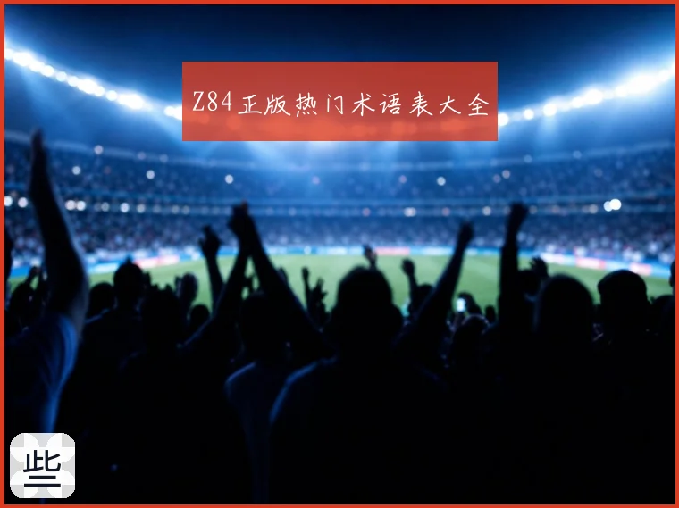 Z84正版热门术语表大全