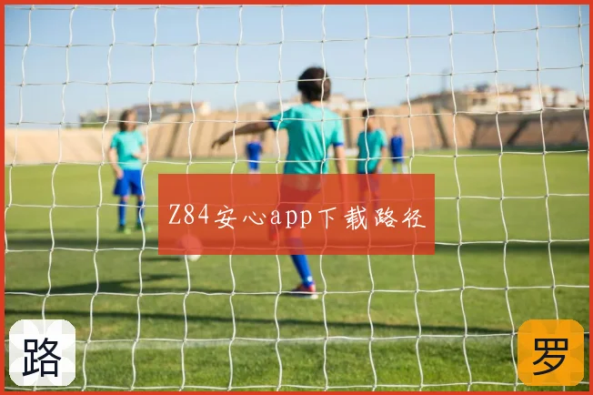 Z84安心app下载路径